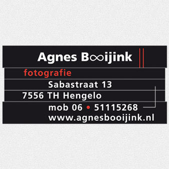 (c) Agnesbooijink.nl